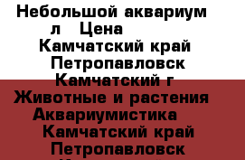 Небольшой аквариум 30л › Цена ­ 1 600 - Камчатский край, Петропавловск-Камчатский г. Животные и растения » Аквариумистика   . Камчатский край,Петропавловск-Камчатский г.